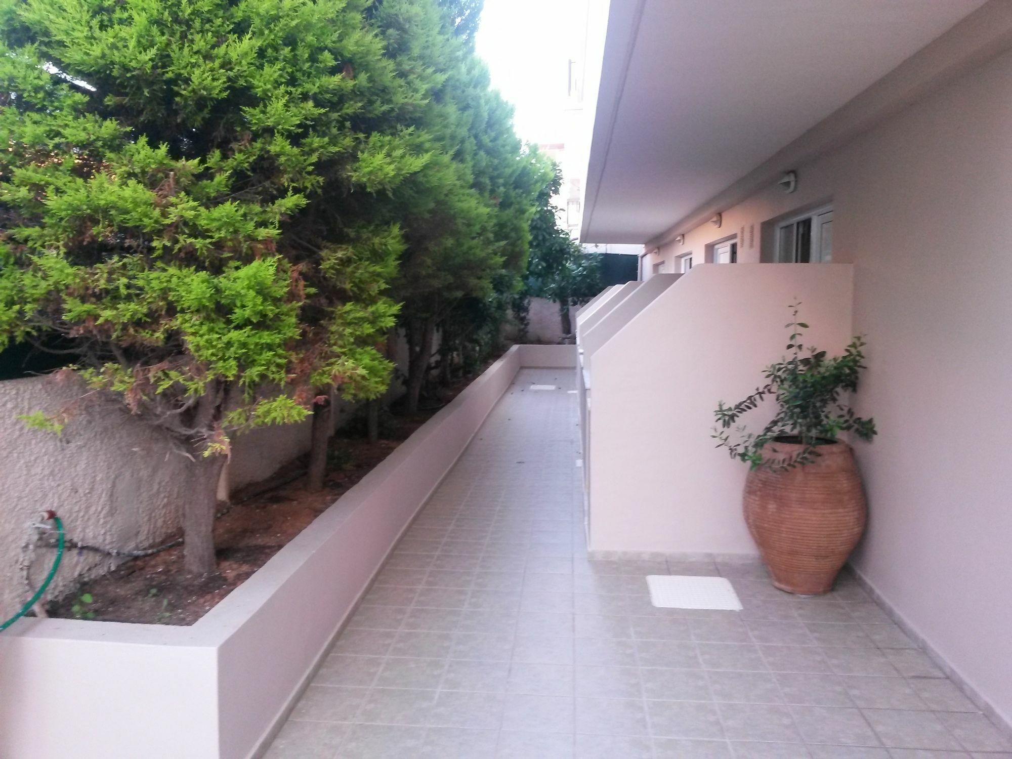 Zannis Hotel 罗希姆诺 外观 照片